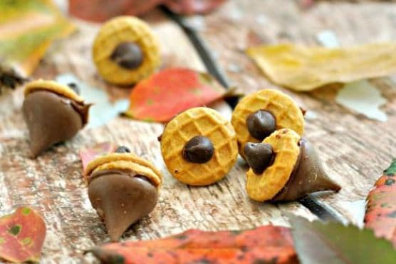 Nutella Acorn Kisses Dessert