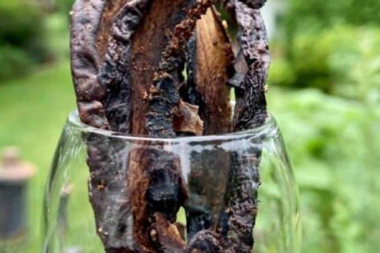 Mushroom Jerky