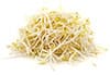 bean sprouts/shoots