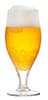 pumpkin beer