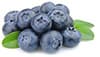 blueberries -fresh
