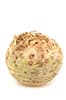 celery root
