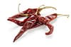 chilies