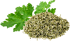 parsley