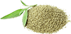 ground sage