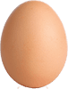 egg