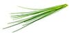 chives