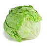 iceberg lettuce