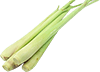 lemon grass