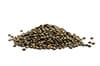 lentils