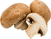 button mushrooms