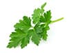 flat-leaf parsley