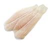 rockfish