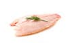 tilapia