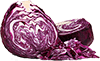 cabbage