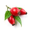 rose essence - few drops