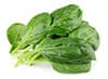 spinach leaves