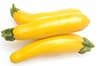 summer squash